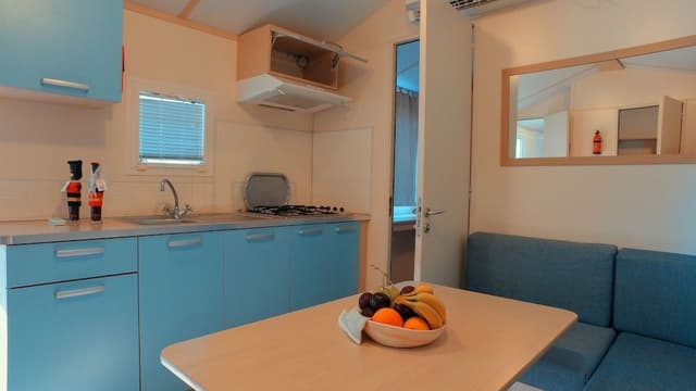 Mobile Home