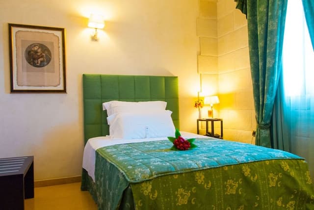 Superior Single Room