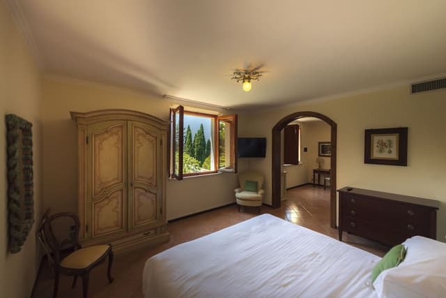 Suite (Frantoio)