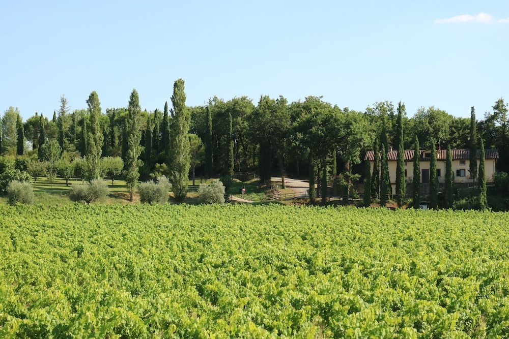 Agriturismo La Sovana1