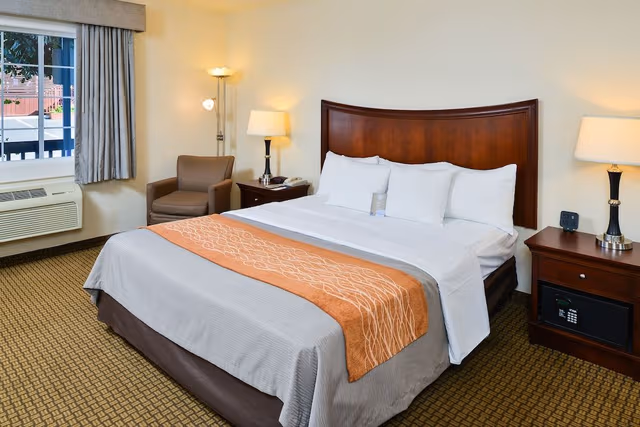 Room, 1 Queen Bed, Non Smoking