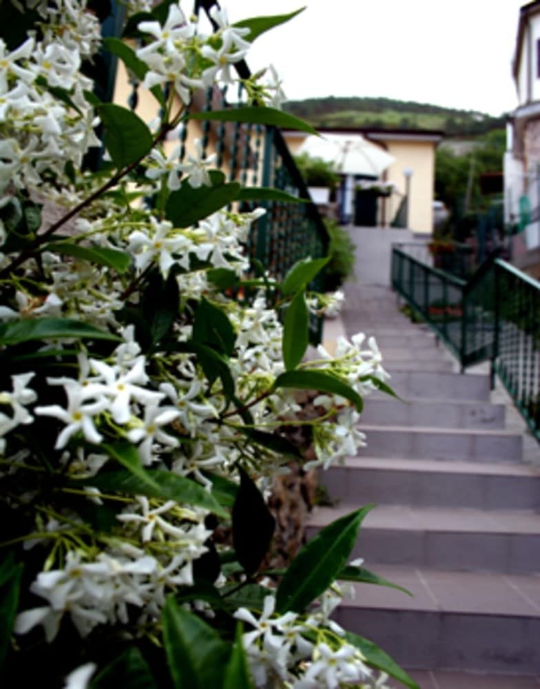 Hotel del Sole4