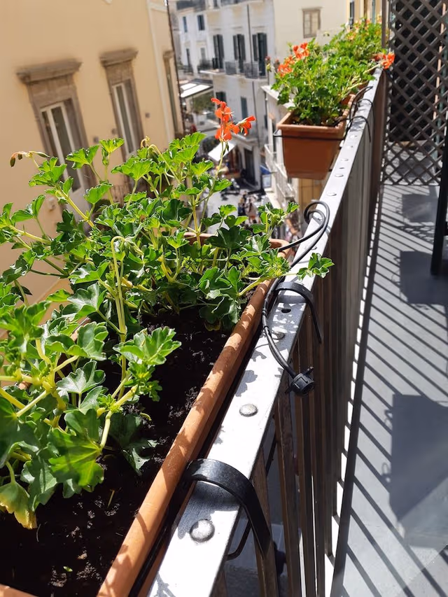 Family Quadruple Room, 1 Bedroom, Balcony, City View