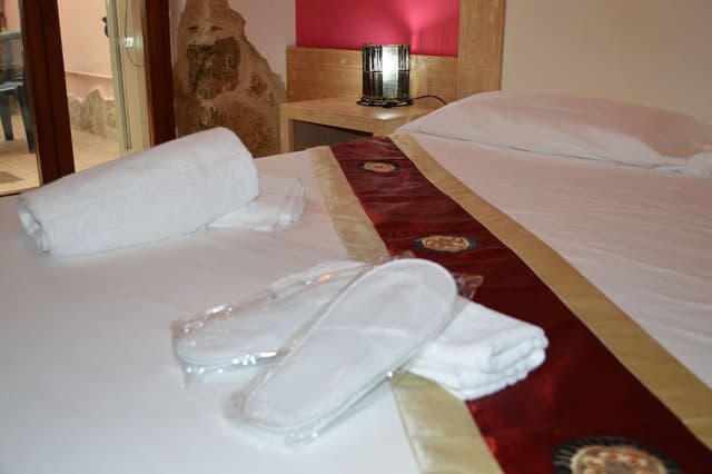 Double or Twin Room, Patio (Fuxia)