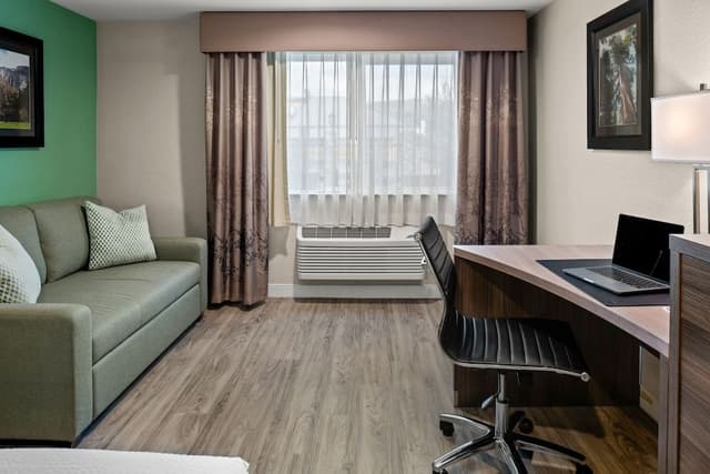 Suite, 1 King Bed with Sofa bed
