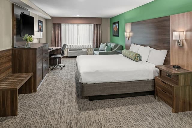 Suite, 1 King Bed with Sofa bed