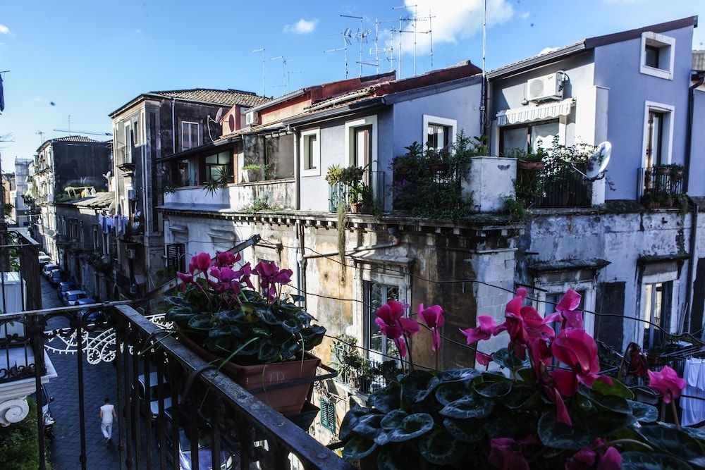 B&B Bellini2