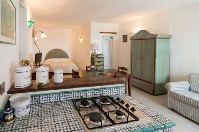 Standard Apartment, Kitchenette, Garden Area