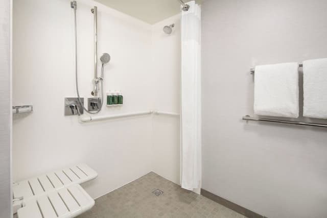 Standard Room, 1 King Bed (Mobility/Hearing Access, Roll-In Shwr)