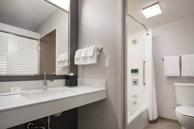 Suite, 1 Bedroom