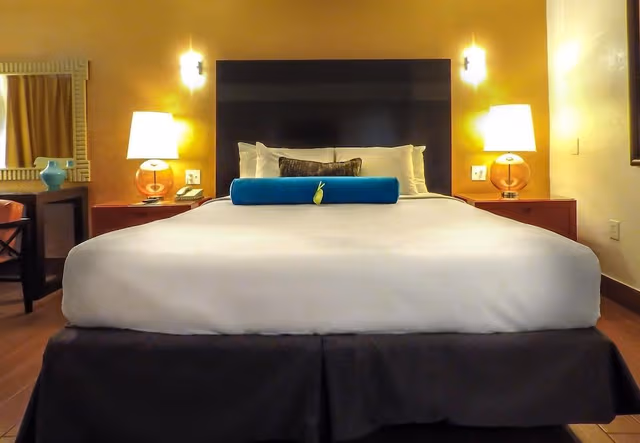 Standard Room, 1 King Bed, Non Smoking