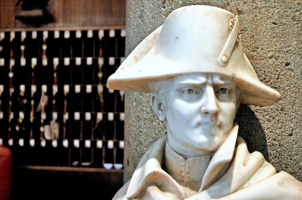 Napoleon4