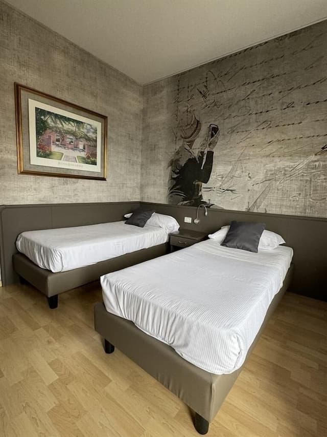 Standard Twin Room