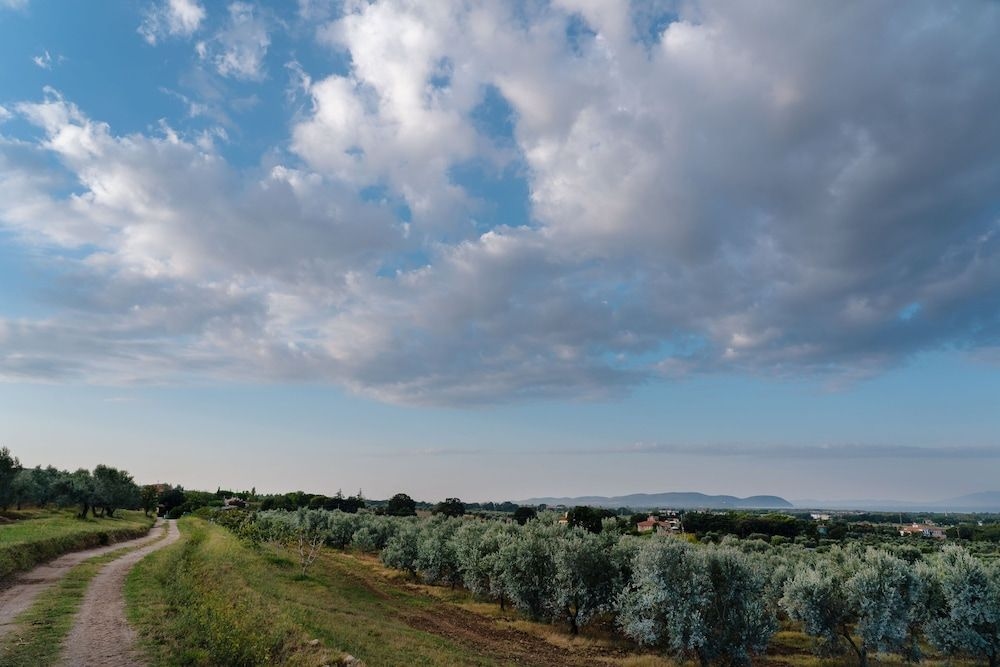 Podere l'Agave3