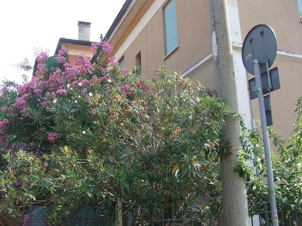 B&B Accorsi B&B Accorsi