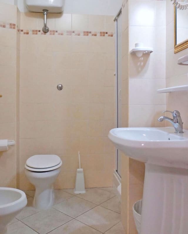 Basic Double Room
