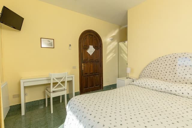 Basic Double Room