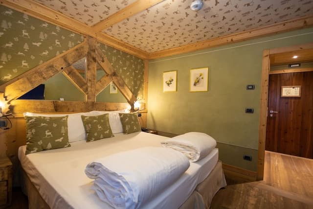Superior Double Room (SPA access)