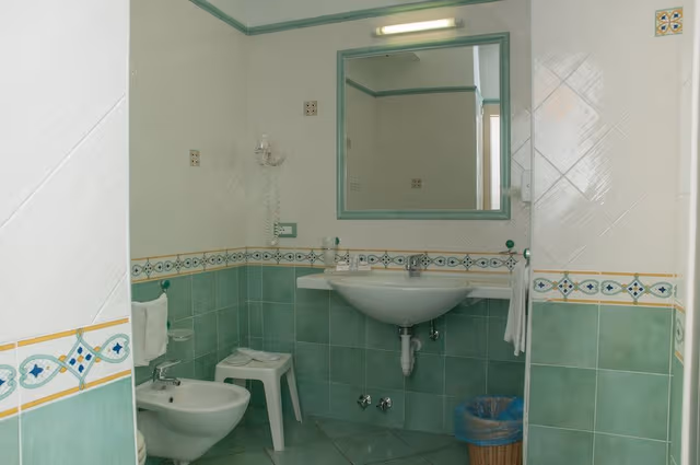 Executive Double or Twin Room (with access to Thermal Park)