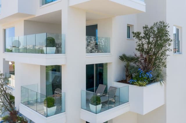 Deluxe Apartment, Annex Building (Large)