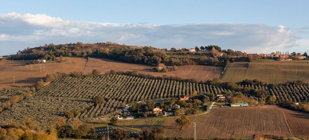 A3Passi Agriturismo tra gli Ulivi3