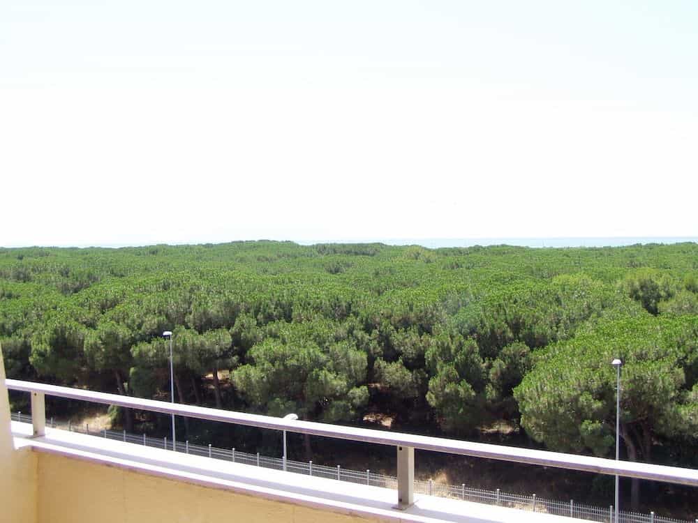 Le Dune