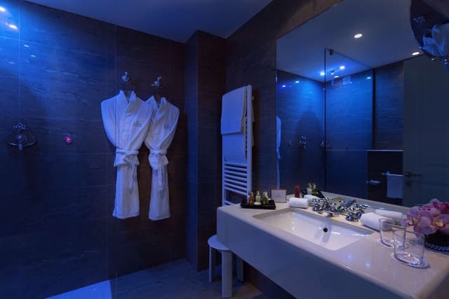 Deluxe Double or Twin Room, Lake View (with Spa Access)