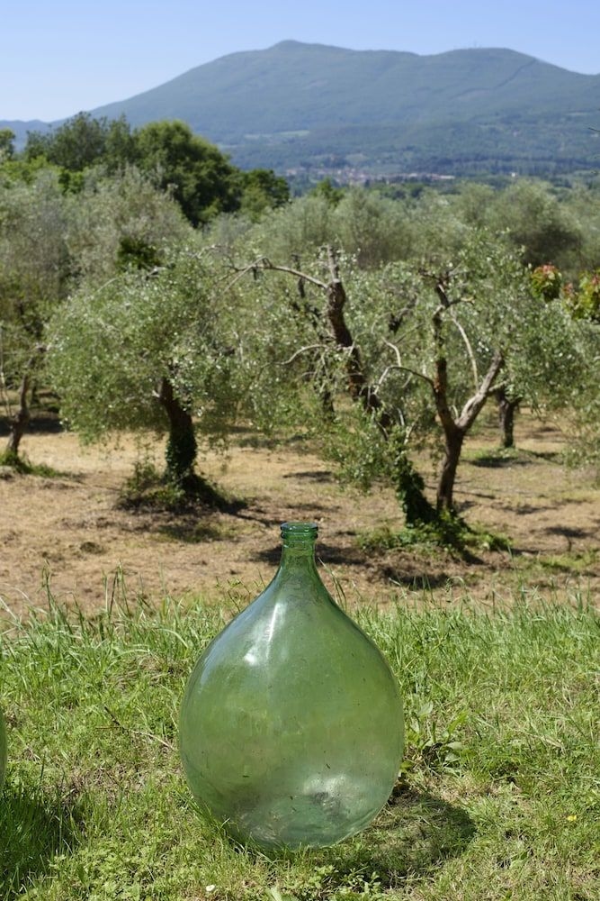 Il Pornelleto0