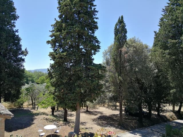 Superior Double Room, 1 Double Bed, Balcony, Valley View