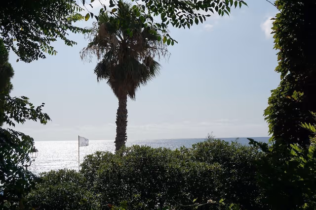 Superior Single Room, 1 Large Twin Bed, Non Smoking, Partial Sea View