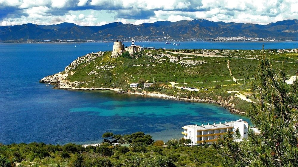 Calamosca4