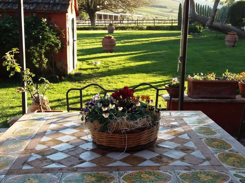 Tenuta Agricola Fonte di Papa Tenuta Agricola Fonte di Papa
