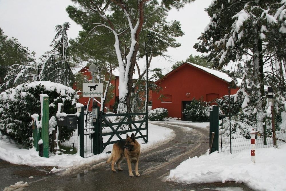 Tenuta Agricola Fonte di Papa1