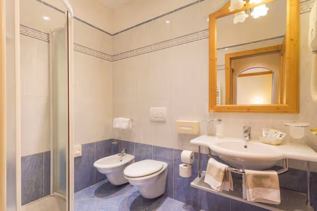 Double or Twin Room, Balcony (Dolomiti)