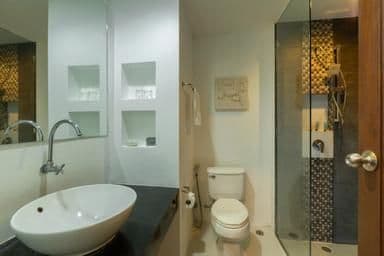 Sea Turtle Deluxe