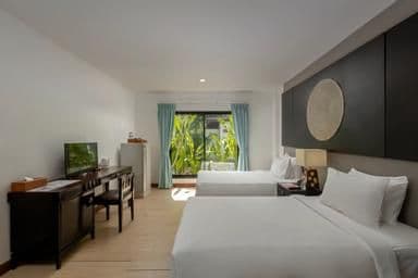 Sea Turtle Suite