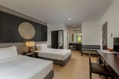 Sea Turtle Suite