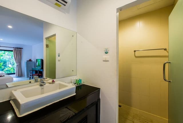 Sea Turtle Suite