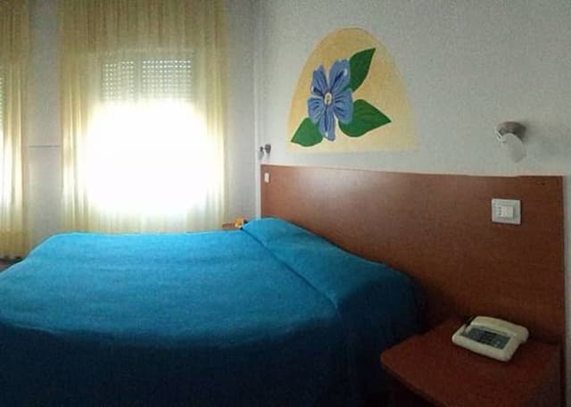 Double Room Single Use, Mountain View