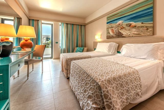 Superior Double or Twin Room