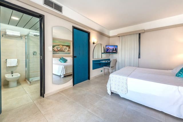 Superior Double or Twin Room