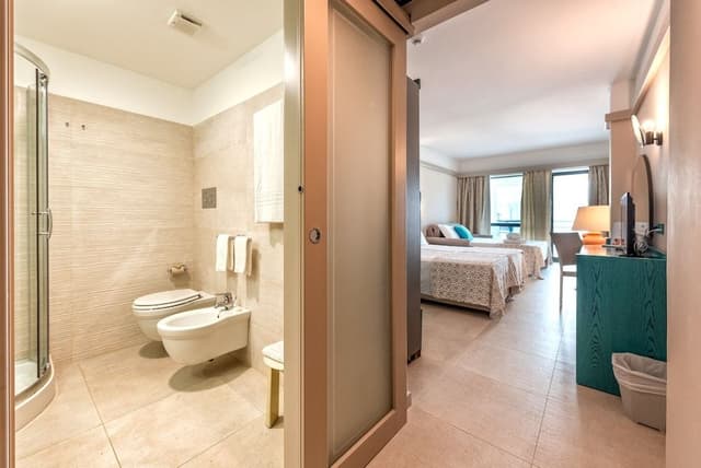 Superior Double or Twin Room