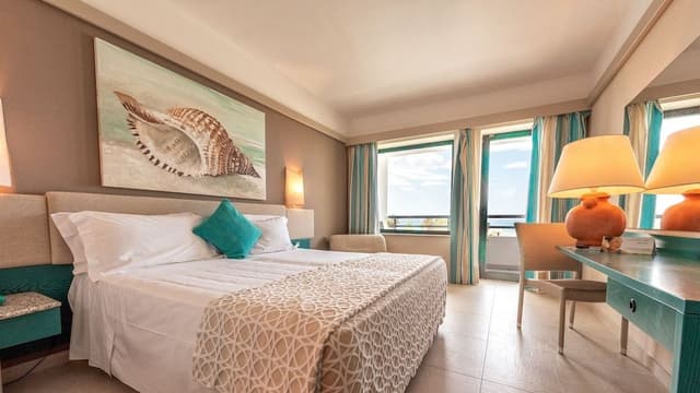 Superior Double or Twin Room
