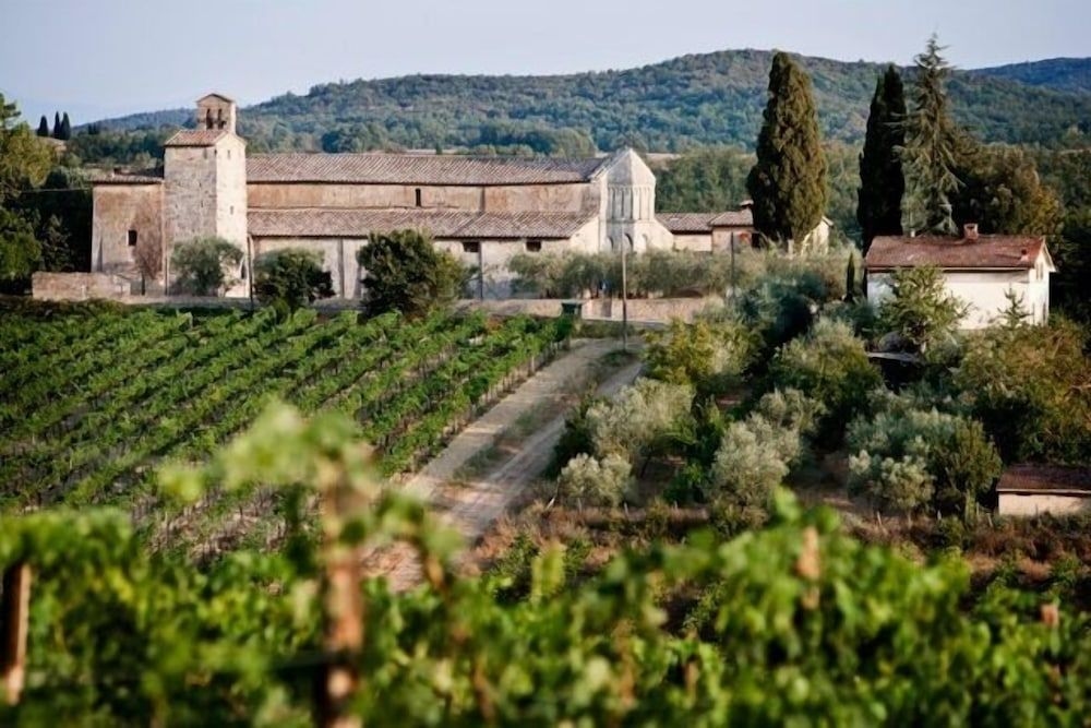Tenuta di Corsano2