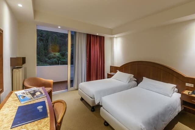 Executive Double or Twin Room