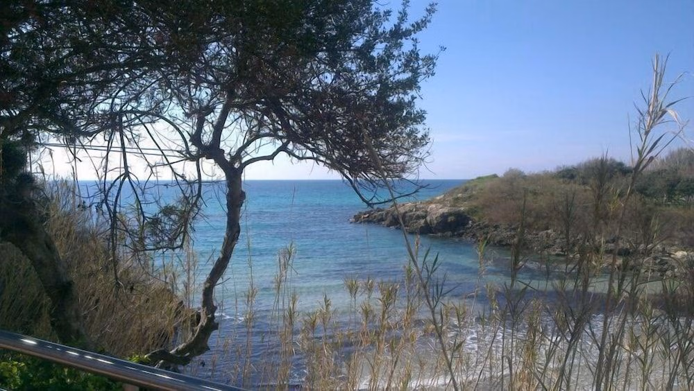 Mon Reve1