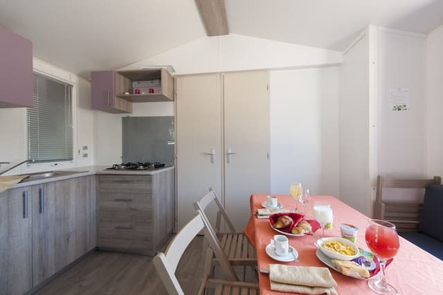 Deluxe Mobile Home, 3 Bedrooms, Kitchen