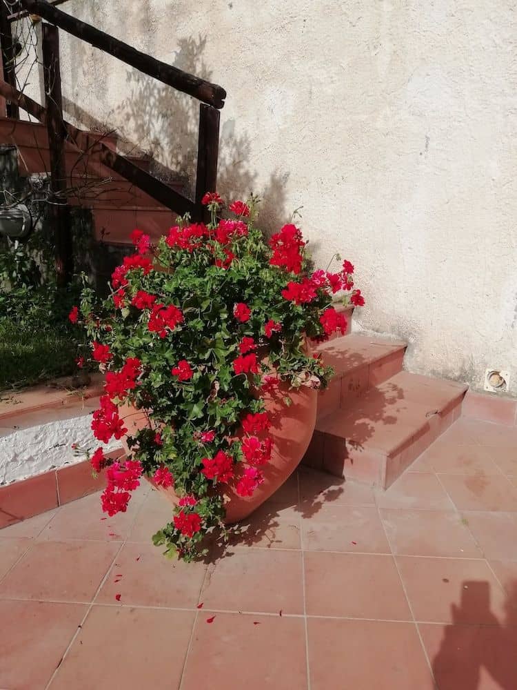 Villa Aresco Villa Aresco