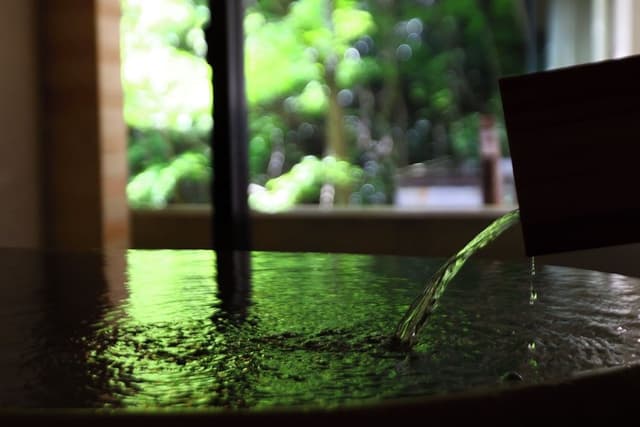 Geihinkan, Kokinran (Indoor Bath Only)