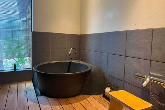 Japanese Style Townhouse